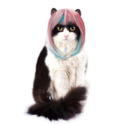 Gatos – Ropa