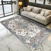 Nordic Persian Carpet Bedroom Bedside Carpet Cloak Room Large Area Living Room Carpet