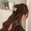 Candy Color Acetate Hair Claw Acetic Acid Cute Hairpin Fashion Letter Hair Clip  Daily