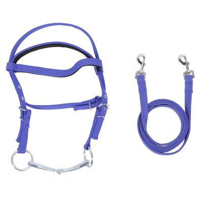 Horse Bridle Rein Nylon Stylish Adjustable Horse Bridle Headstall Equestrian Rein Blue L( For Horses with Shoulder