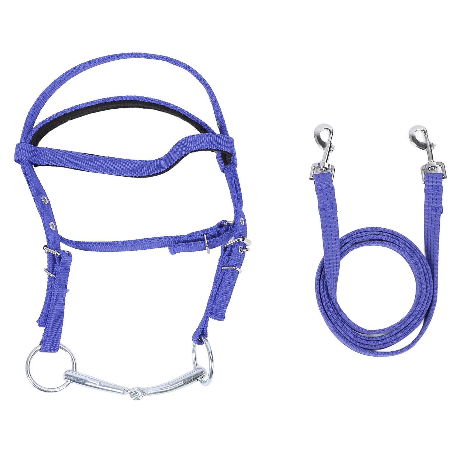Horse Bridle Rein Nylon Stylish Adjustable Horse Bridle Headstall Equestrian Rein Blue L( For Horses with Shoulder blu