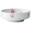 Japanese Ceramic Serving Dish