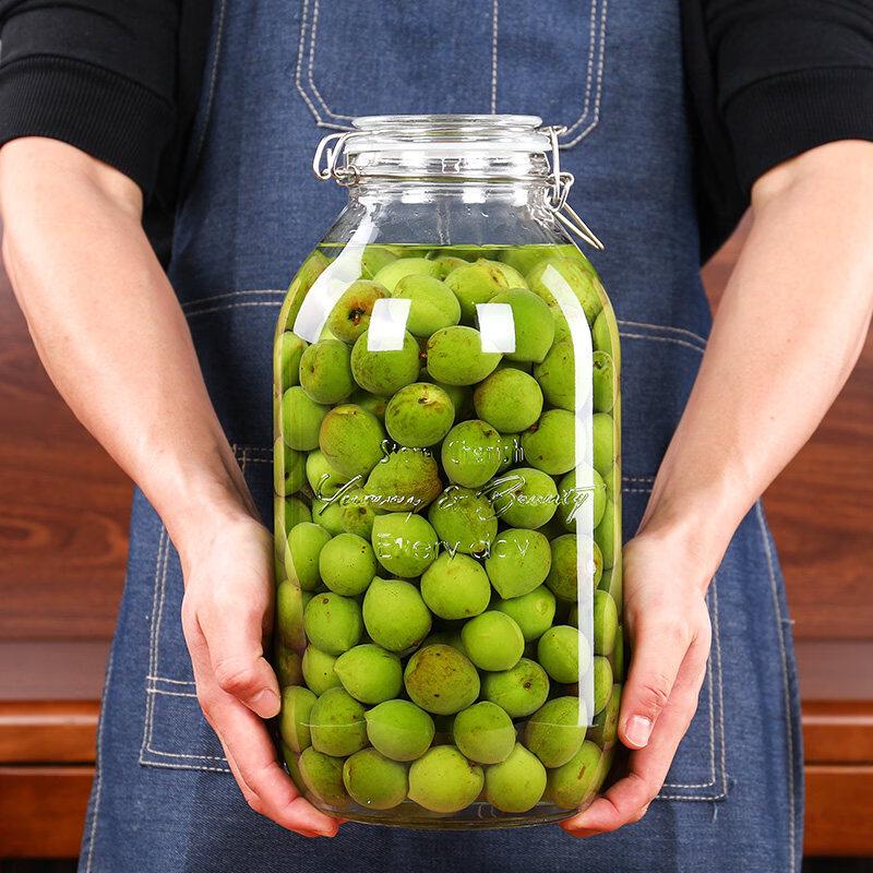 Andytai Thickened Glass Infusion Jar