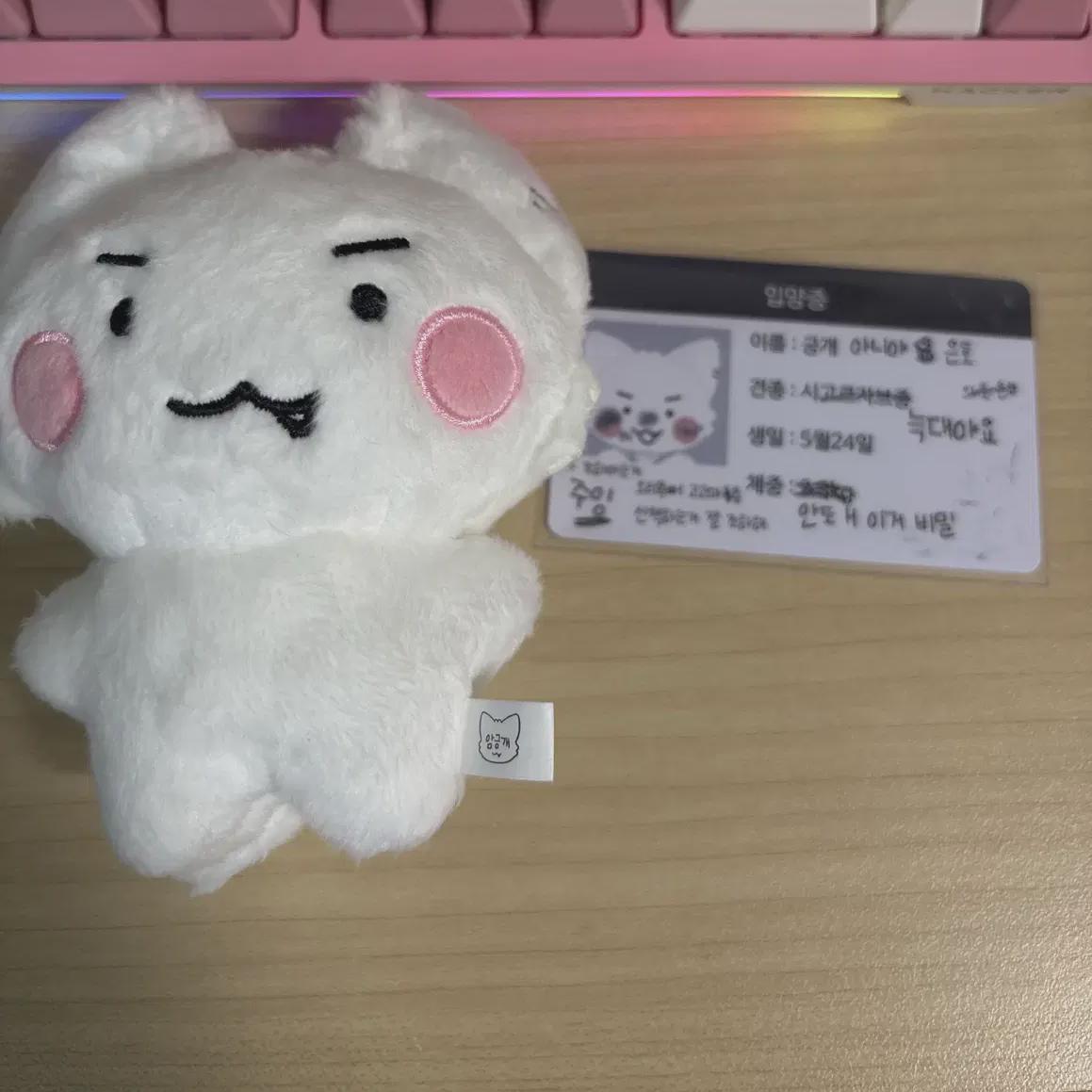 

PLAVE Кукла Ынхо Амхёндэ+брелок для ключей