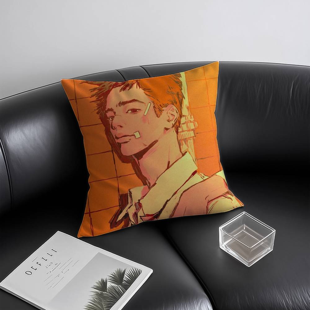 Art Haisoo Pillow Case Anti-dustmite Invisible zipper Sofa Bed