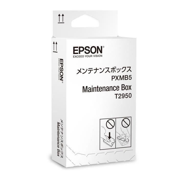 Tintenauffangbehälter für gebrauchte Tinte - EPSON - C13T295000 - Für Epson WorkForce WF-100, WF-100W, WF-110W - Tintenstrahl