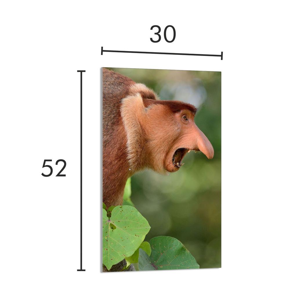 SZKLANA DESKA DO KROJENIA 30x52 Nosacz