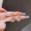 Fashion Hollow Synthetic Zircon Rose Earrings Women's Niche Exquisite High Sense Internet Celebrity Earrings Light Luxury New Trendy Earrings