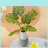 Artificial Green Plant Home Decor With Soft Silicone Leaves For Wedding And Photography Props