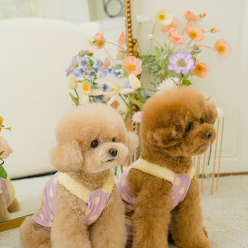 SALTYHEARTY Pogle Dot All-in-One