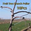10Pcs Anti-Slip Fruit Tree Branch Puller High-Strength Branch Shaping Device  Tree Sapling