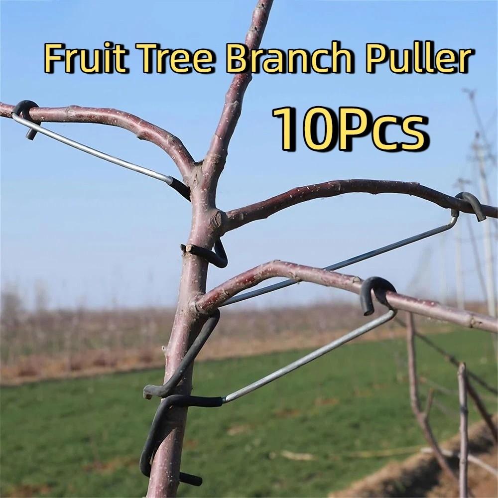 10Pcs Anti-Slip Fruit Tree Branch Puller High-Strength Branch Shaping Device  Tree Sapling