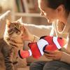 Simulierter Fisch, Kauspielzeugpuppe, Katzenminze Beißspielzeug,