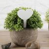 100PCS Colors Gardening Label Heart Shape Plant Label PVC Material Waterproof   White