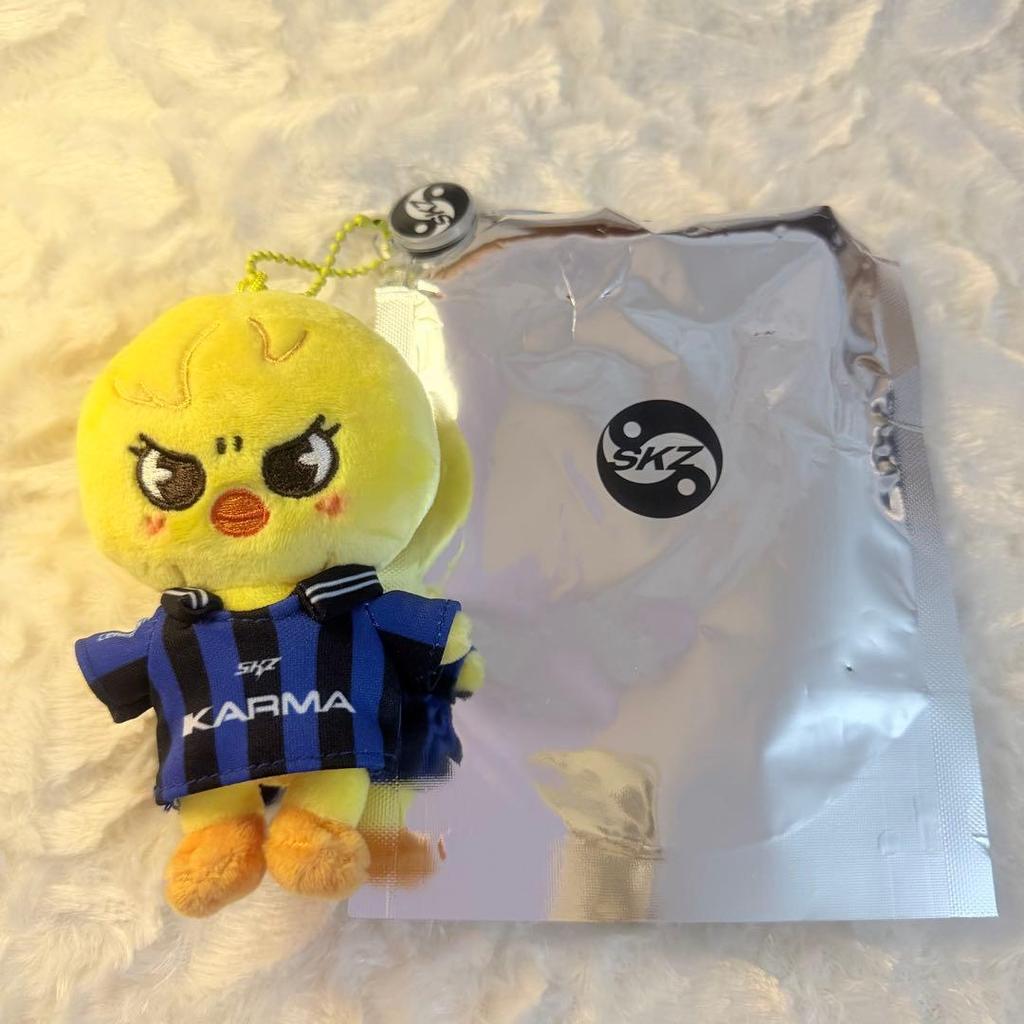 [USED] Stray Kids Felix Karma SKZOO Bonus Trading Card with Box