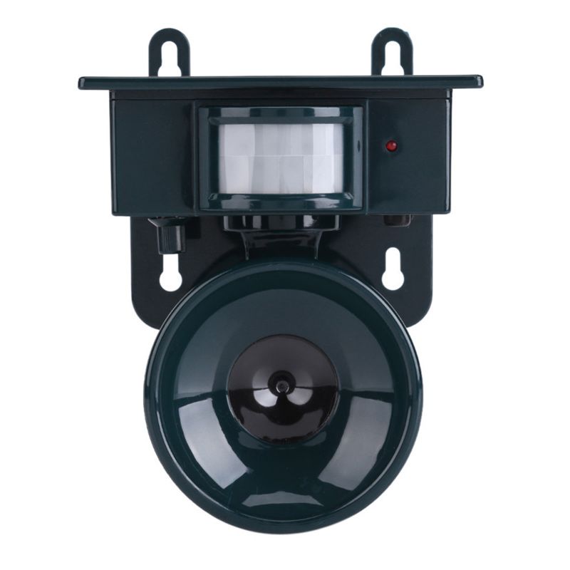 Vogelabwehr für Garten und Gemüsegarten