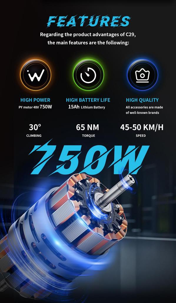 DUOTTS C29 Electric Bicycle, 48V 15AH Battery, 29-inch Tires, 21 Speeds, Maximum Range of 100 Kilometers. Black.