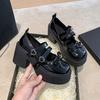 Bow Thick High-heeled Small Leather Shoes Women's 2025 Autumn New Japanese Heightening French Versatile Mary Jane Single Shoes