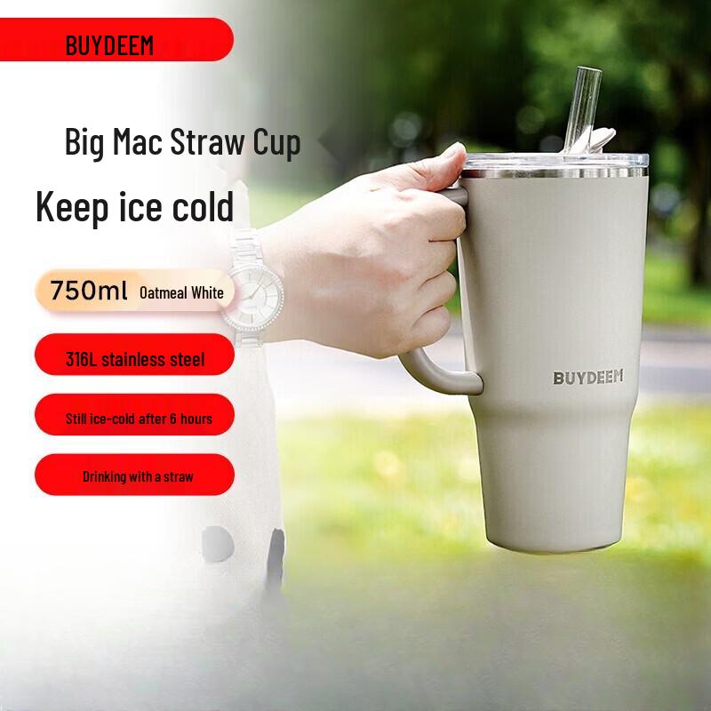 Buydeem 316L Stainless Steel Lift-and-Drink Insulated Bottle 750ml