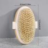Natural Bristle Brush Soft Wet Dry Skin Body SPA Brush Bath Massager Home Dry Wet Back Shower Brushes Exfoliating Bathing Brush