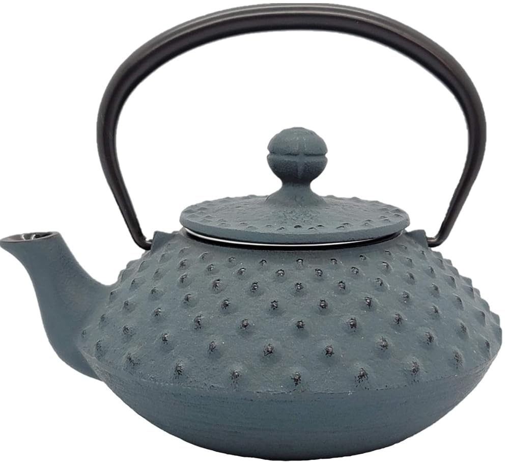 

Iwachu Teapot, Type 3, Flat Arare, Dammann Blue, 0.35L, Enameled Interior, Nanbu Ironware, 12341
