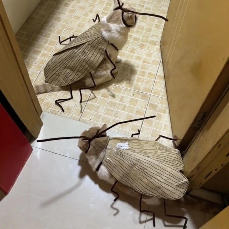 1PC Realistic Cockroach Cat Costume with Detachable Wings Funny Cockroach Clothing for Cat Cosplay Dress Up DIY Material Pack
