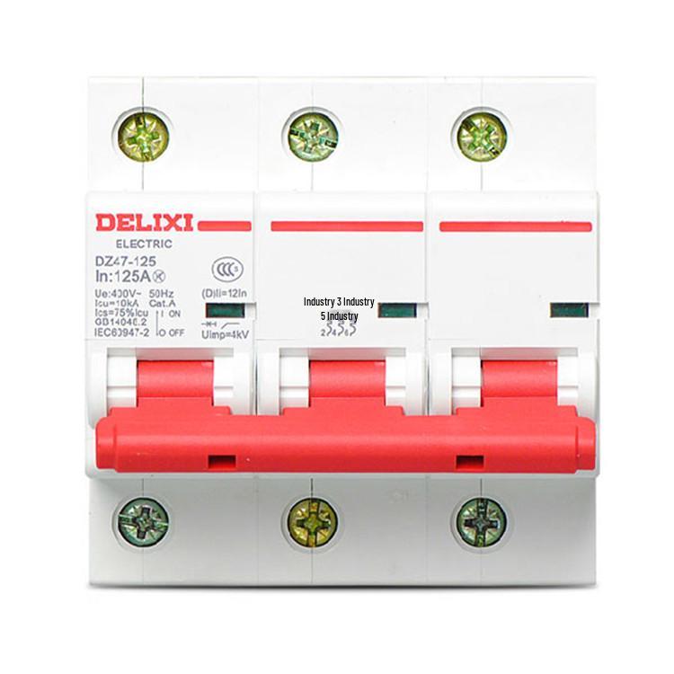 DELIXI DZ47-125 100A/125A Type D Miniature Circuit Breaker for High Current