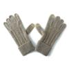Touch Screen Gloves Cashmere Autumn and Winter New Style Unisex Striped Warm Cycling Windproof Knitted Five Finger