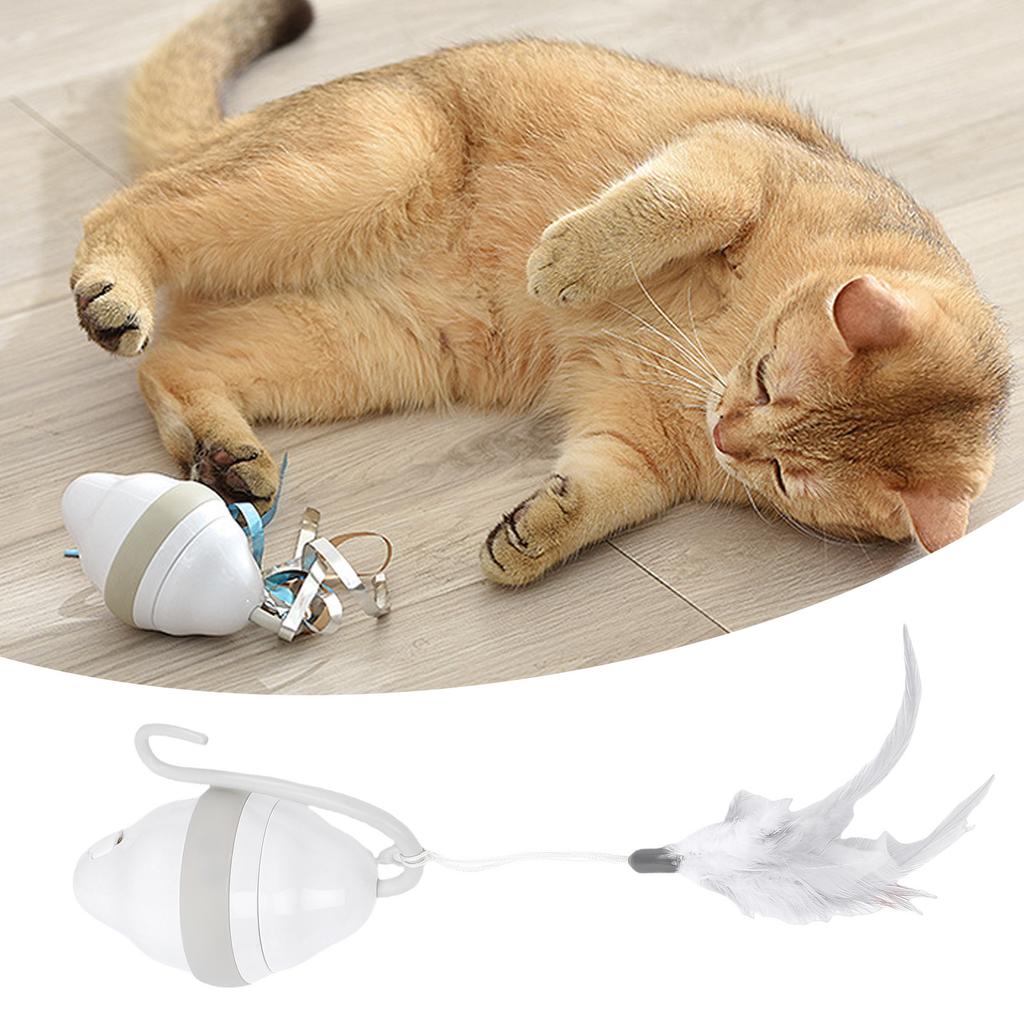 Elektrisches rollendes Katzen-Spielzeug, interaktives Selbstspiel-Spielzeug mit Schwanz für gelangweilte Hauskatzen, Beschäftigung