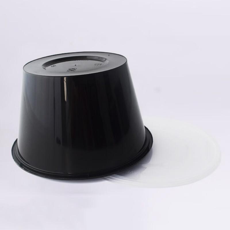 Disposable Takeout Bowls with Lids