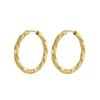 CARLIDANA Chic Simple Hoop Earrings Ins Simple Women Fashion Earrings Stainless Steel Gold Plated Twisted Circle Huggies Earring