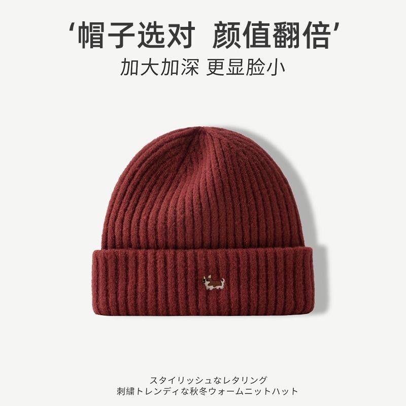 Cute Corgi Embroidered Puppy Knitted Hat