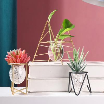 Nordische Eisenlinie Blumenvase Metallpflanzenhalter Hydrokulturpflanze Blumenvase Terrarium Container Desktop Tabletop Home Decor