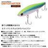 Daiwa Morethan Switch Hitter Rattlin W Gold Rainbow 120S+R