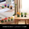 JMBricklayer Flower Succulent Building Blocks Set for Adults 10001 12 Pack Plant Collection Small Plant Building Blocks Flower Bonsai Model Room Home