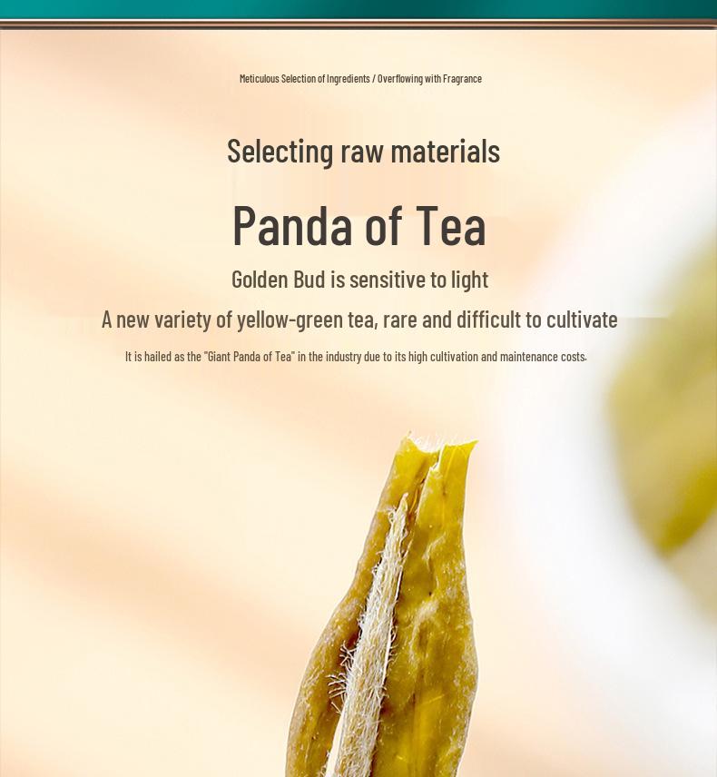 Golden Bud White Tea: 2025 Pre-Qingming High Mountain Green Tea, Tender Buds, 250g Caddy, Free Shipping