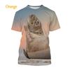 T-shirts Animals Funny Seal Fashion Summer Crew Neck 3D Print TShirts Boy Girl Kawaii Oversized  Casual Streetwear Tee Clothes