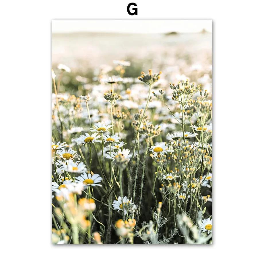 Lake Bridge Mountain Forest Grass Boat Wall Art Canvas Painting Nordic Posters And Prints Wall Pictures For Living Room Decor