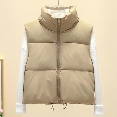 Autumn Winter Women's Vest Fashion Stand Collar Loose Thick Warm Sleeveless Parkas for Women Outerwears