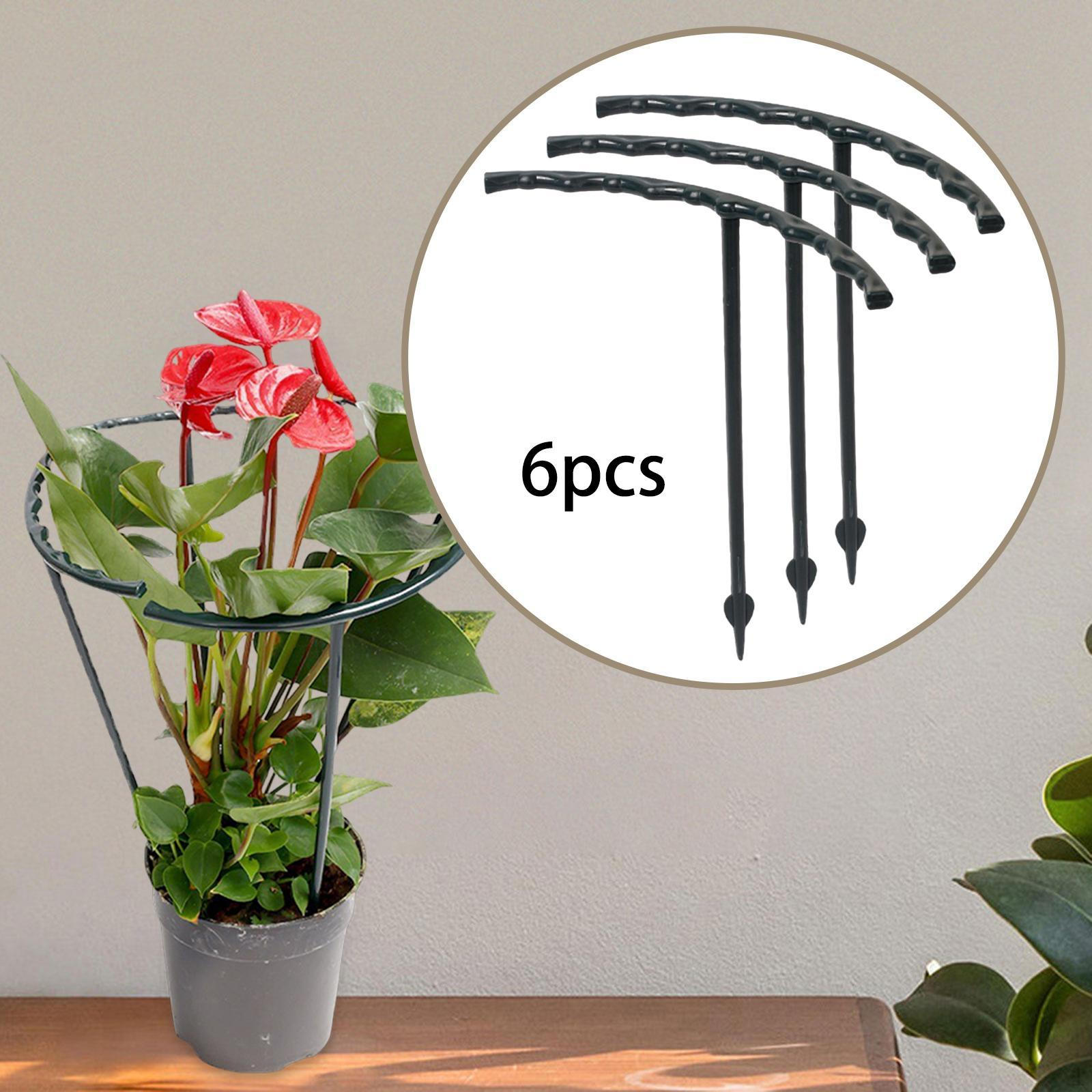 

6 шт. Колья для поддержки растений, клетки, подставка для фруктов, держатель для поддержки, садовые инструменты для кливии, патио 14cmx15cm