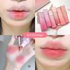 Cappuvini Nude Water Mist Lip Glaze Matt Samt Weiß Lipgloss Langanhaltender Lippenstift