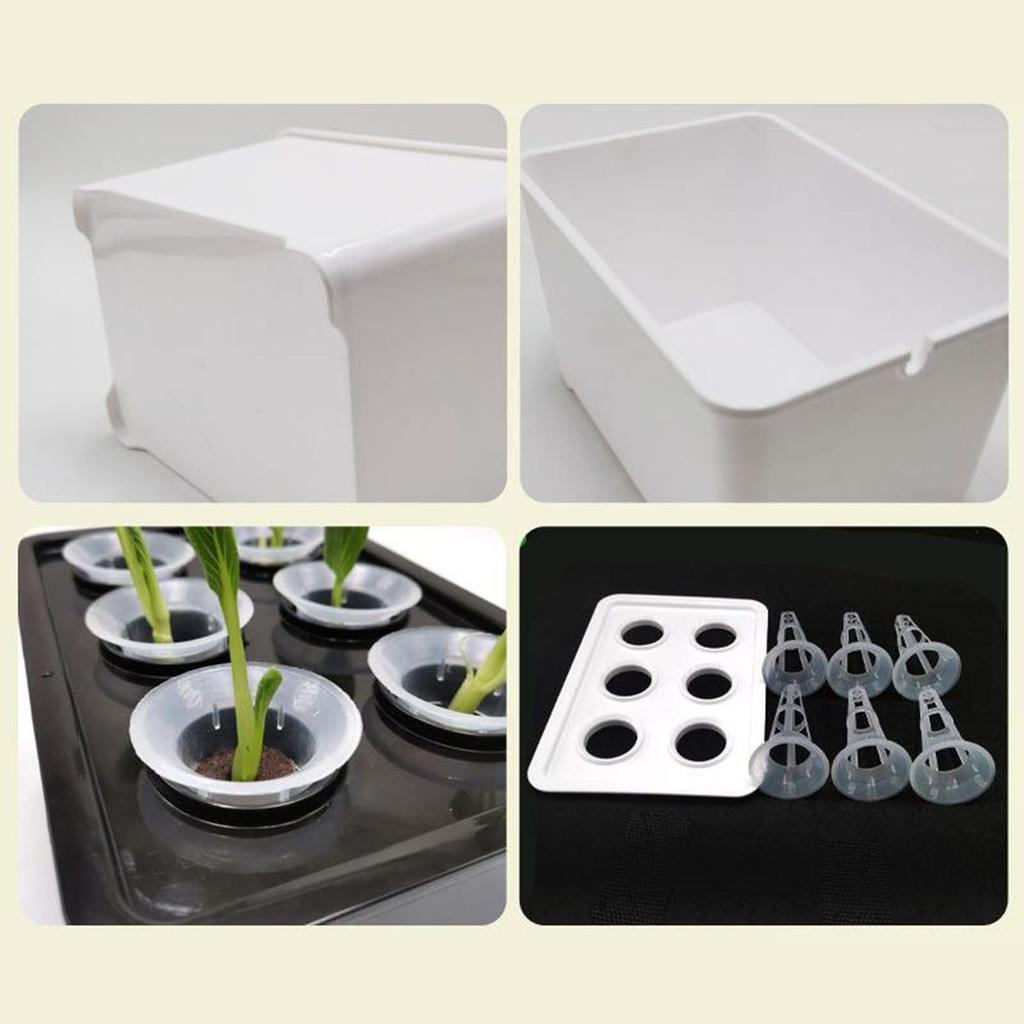 Hydroponics Growing System Kit 6-Holes Germination System Garden Cultivation Box For Vegetables Flowers Fruits Indoor Outdoor