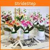 Butterfly Orchid Artificial Plant With 3d Film For Indoor Decor And Photography Props