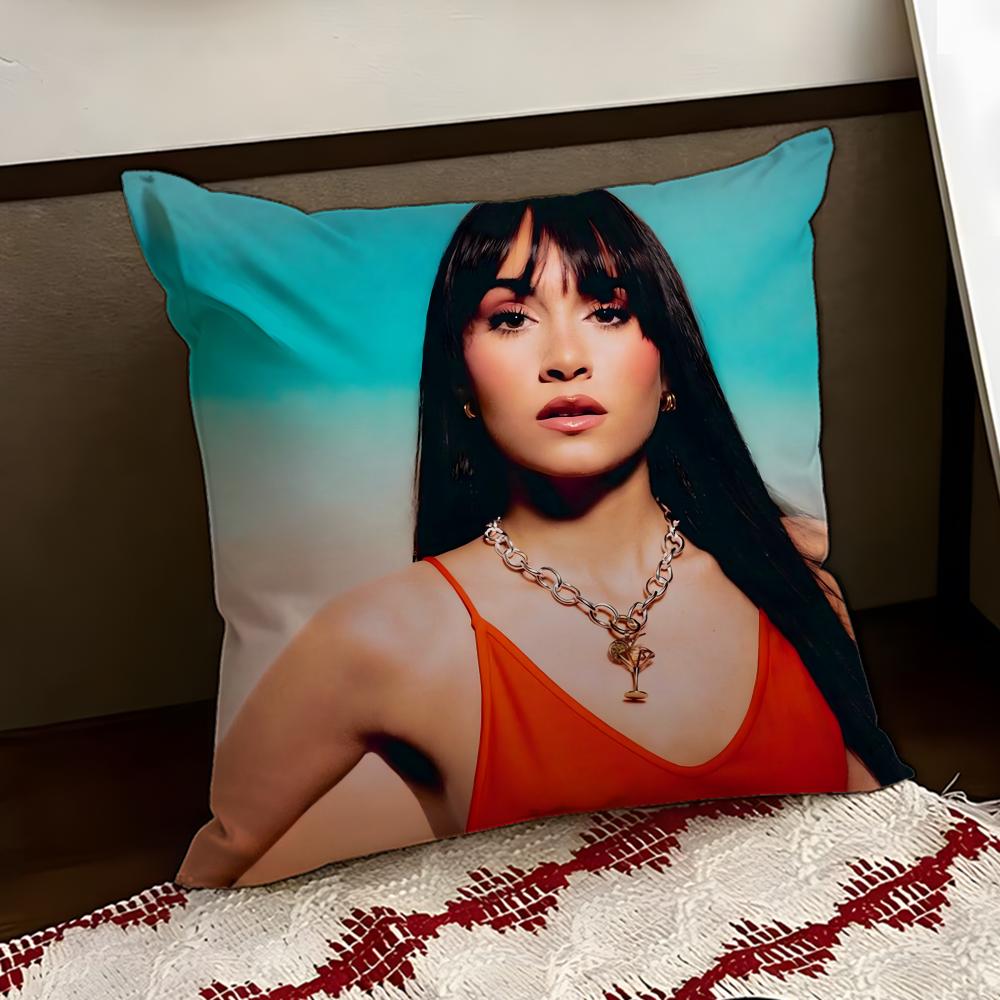 Singer AAitana Ocana Cushion Cover Reversible Soft Durable Pillow Cover Home Car MultiScene Use for Daily Comfort