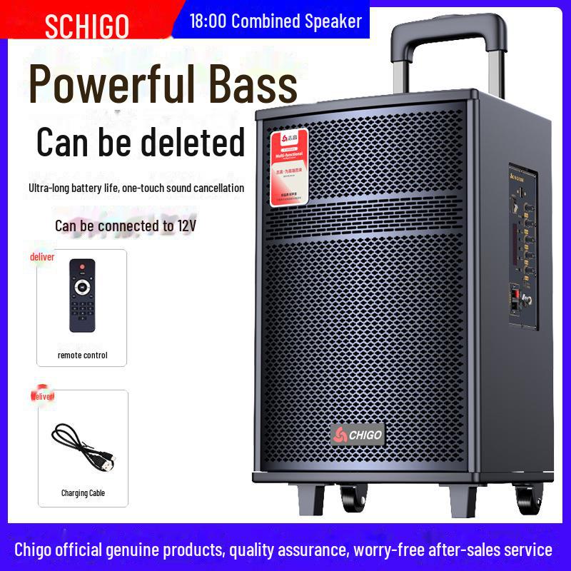 Chigo High-Power Outdoor Bluetooth Trolley Speaker for Music & Karaoke