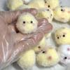 QQ Bouncy Little Chick Toy: Slow Rebound Stress Relief for Besties, Friends, and Babies