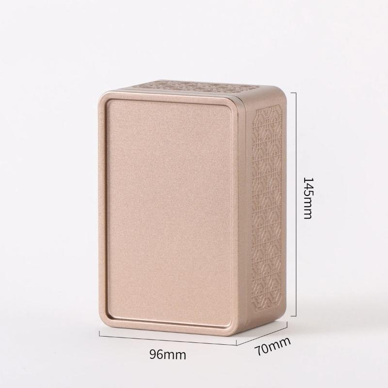 Luftdichter geruchsdichter Kräuteraufbewahrungsbehälter: Mini-Teedosen aus Edelstahl Kaffeebox