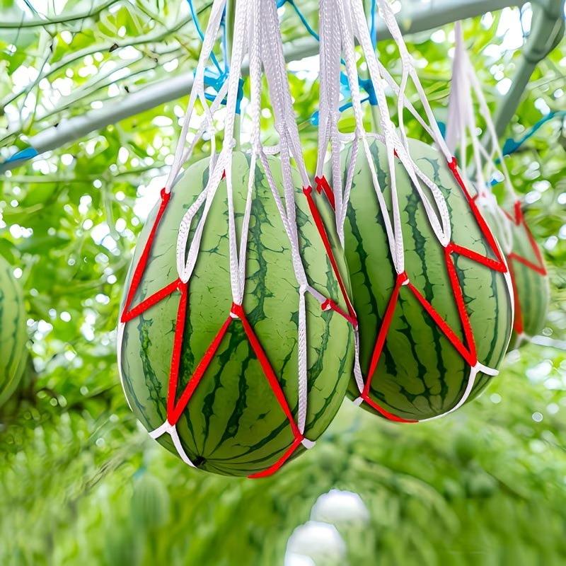 5/10/20Pcs Heavy-Duty Fruits Net Bags Large Capacity Shopping Bags For Support The Growth Of Watermelons, Pumpkins, Cantaloupes
