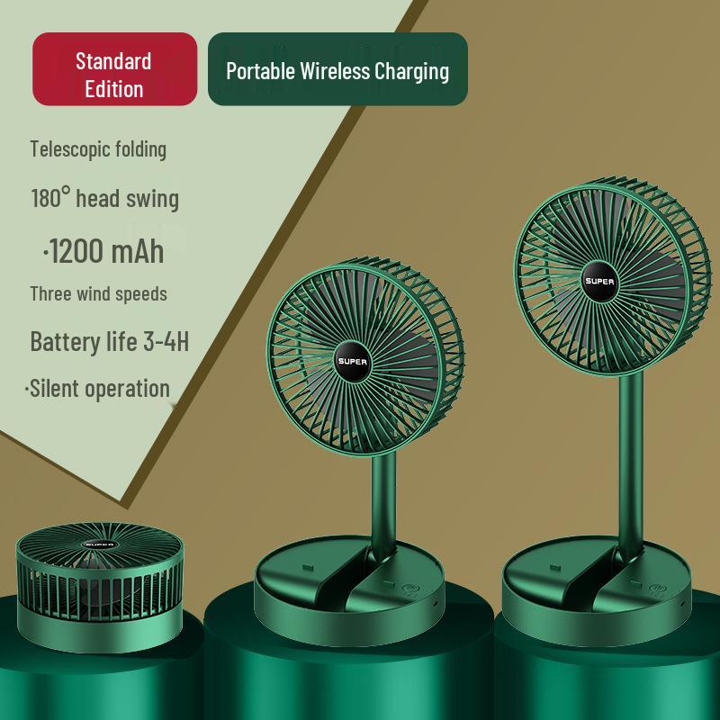 

Summer Souvenir Fan Gift Box Set – Perfect for Graduations, Meetings, Sales, and Prize Draws