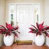 Large Realistic Artificial Fern Dragon's Blood Tree Plants, UV Resistant Fake Ferns with Pink Purple Leaves for Outdoor Garden, Patio, Wedding,